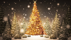 christmas-trees.jpg