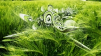 green-3d-wheat-1920x1080-wallpaper-2895.jpg
