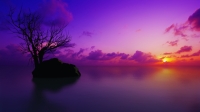 maldivian-sunset-1920x1080-wallpaper-5351.jpg